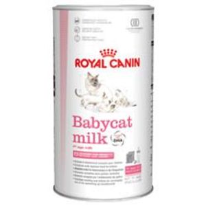 Royal Canin Feline Baby Cat Milk | Size: 300g